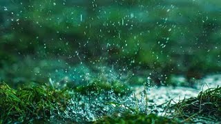 Raindrop Reverie: Serene Rainfall Relaxation