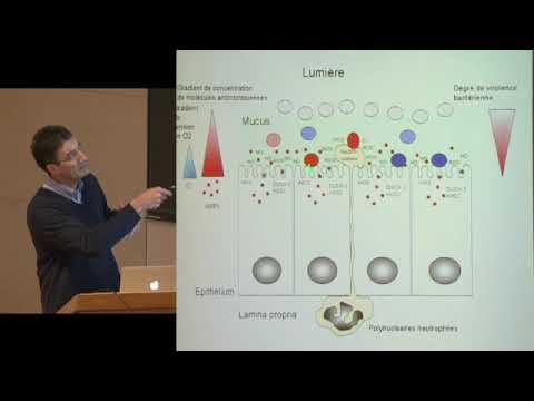 Comment les microbes pathogènes prennent le contrôle de l'hôte (5) - P. Sansonetti (2011-2012)