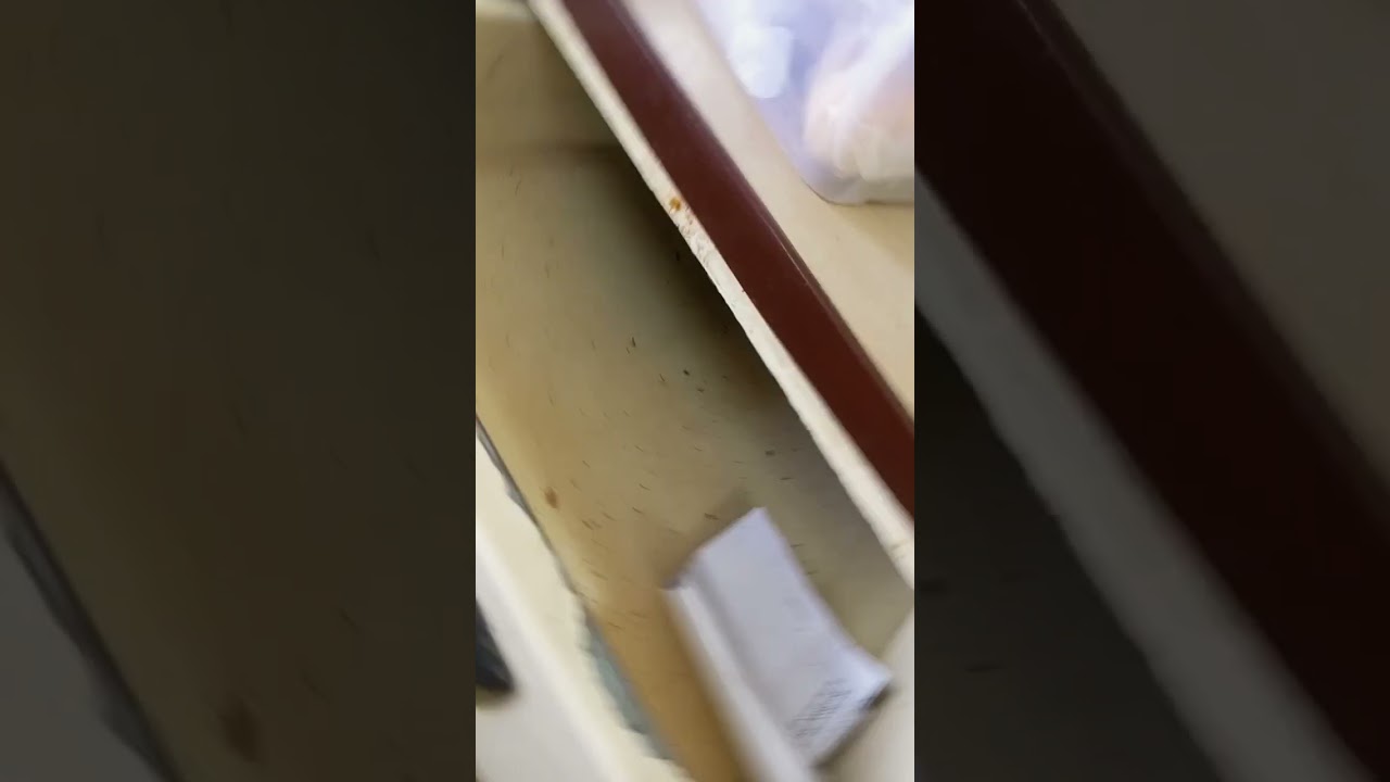 shaikh zayed hospital lahoresheikh zayed hospital lahore admissiontiktok trending songs