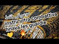 Instrument Ultra Combattiva Hnaya Les Guardie Usmh 2026