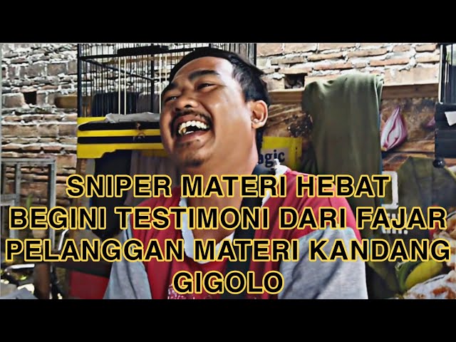 BIKIN KENARI MURAH JADI MAHAL‼️FAJAR NAMANYA - PILIHANNYA GINI LHO class=