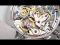 Amazing Precision, The Swan Neck Regulator-Watch and Learn #67