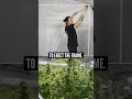 How to Setup an Indoor Grow Tent
