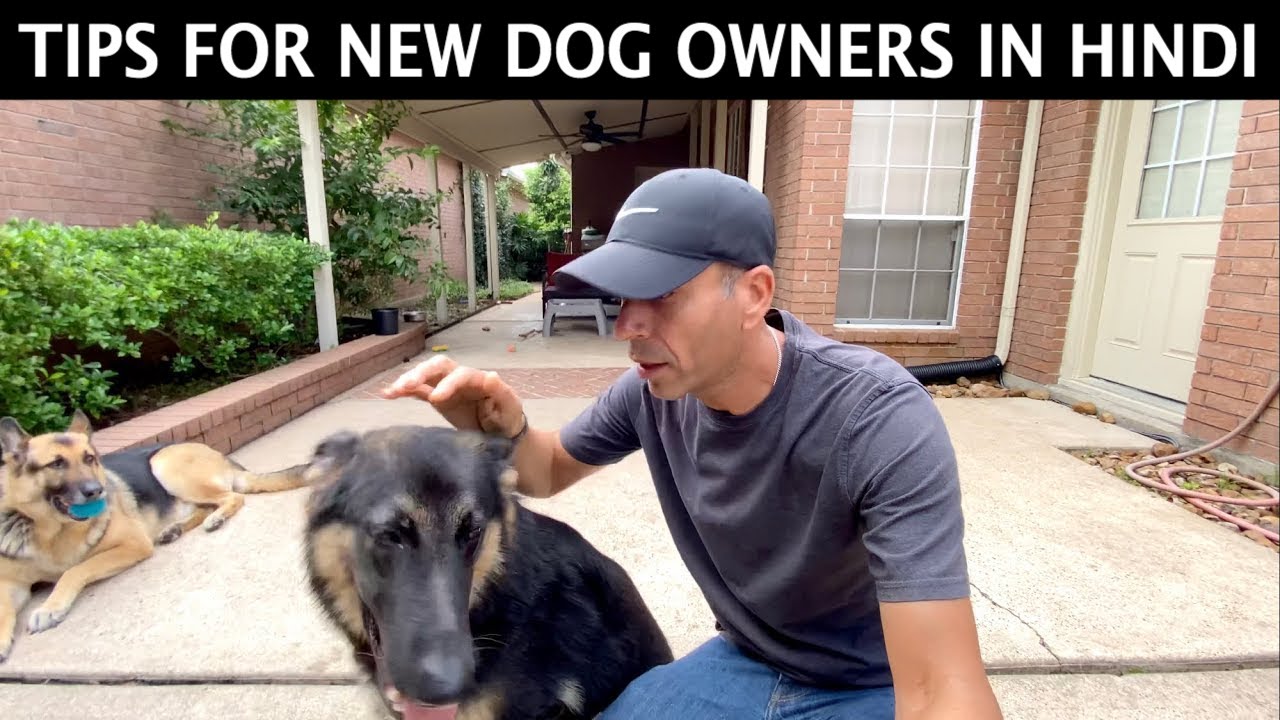 Tips For New Dog Owners | Hindi Vlog | Indian Vlogger | This Indian ...