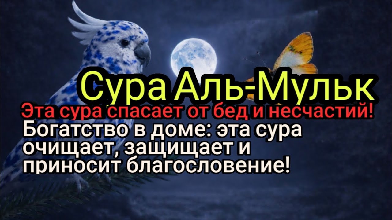 Богатство от Аллаха: эта сура спасает дом от зла и бед!.