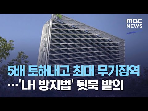 5배 토해내고 최대 무기징역…'LH 방지법' 뒷북 발의 (2021.03.04/뉴스데스크/MBC)