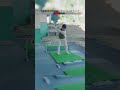 97年マスターズ優勝タイガーの激硬・激重ドライバーを試打