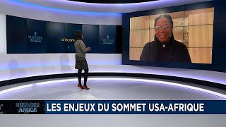 Les enjeux du Sommet USA-Afrique [Business Africa]