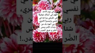 دعاء يوم الأحد