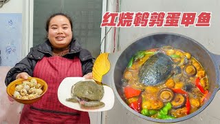 1斤甲鱼，22个鹌鹑蛋，一起这样煮一锅，下饭太香了【梅子美食】