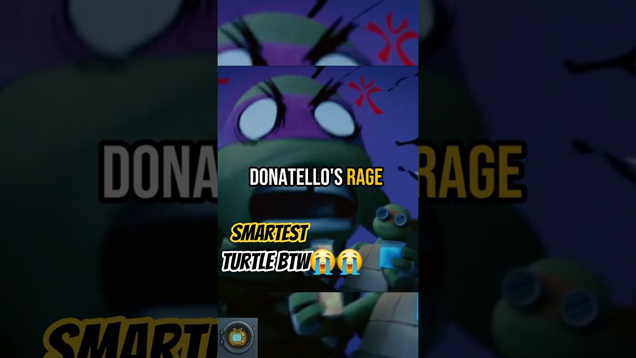 Funniest Donatello Meltdown Moments!
