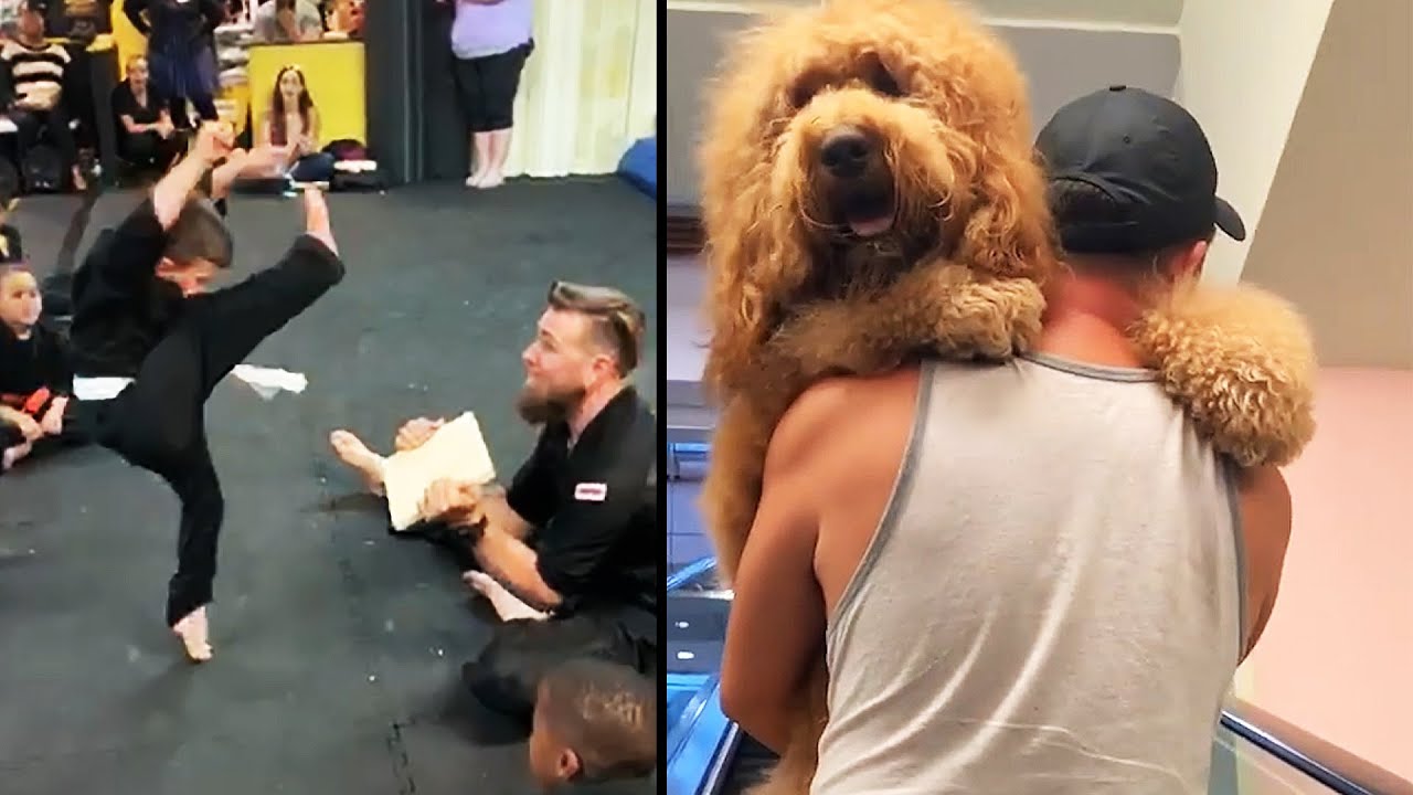 Ozzy Man Reviews Humans Being Nice YouTube