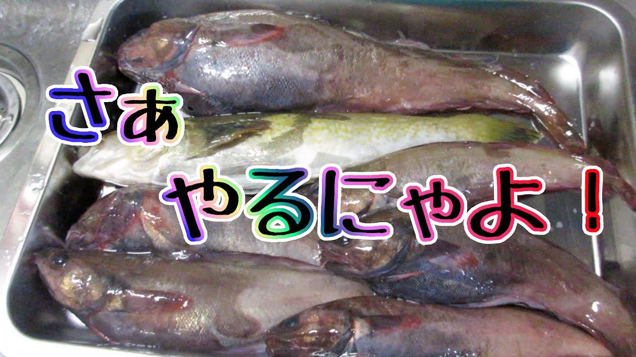 深海魚 どんこ とは その生態から旬な時期 美味しい食べ方までご紹介 暮らし の