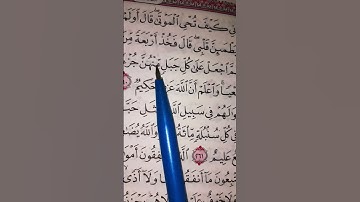 تلاوة هادئة وجميلة من سورة البقرة ترتيل رائع #القرآن_الكريم #المصحف #quran #قرآن #beautiful 🌙🪴🤍🌺🏵🌼