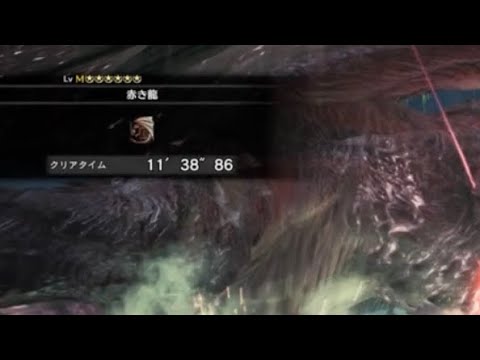 【#MHWI】赤き龍 一撃 ライト×盾斧ペア 11分38秒86【#MHWアイスボーン】