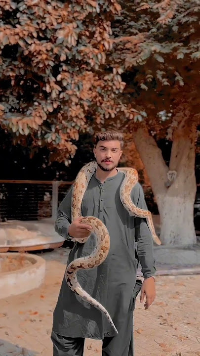 #sufyanghani #snakvidio#viral