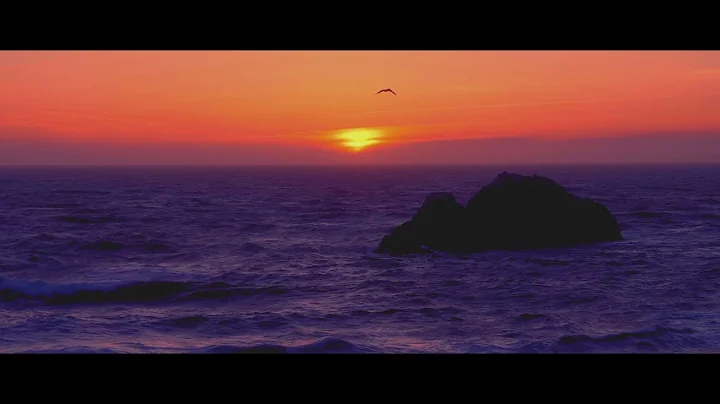 Sarah Elise Thompson  sanddollar  official music v...