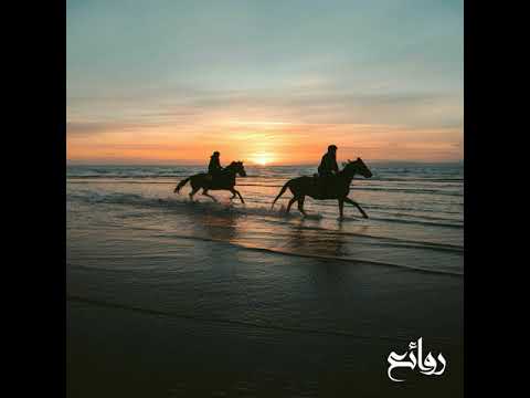 يابا القدس نادت غرباء للفن الإسلامي روائع