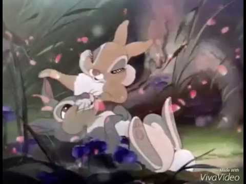 Panpan Est Amoureux Youtube