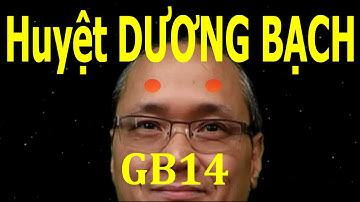 Huyệt Dương bạch | Kinh Túc thiếu dương đởm | Acupoint GB14