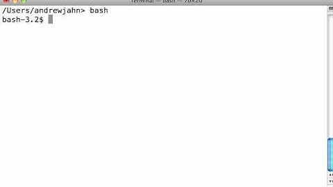Unix for Neuroimagers 6: Shells and Variables
