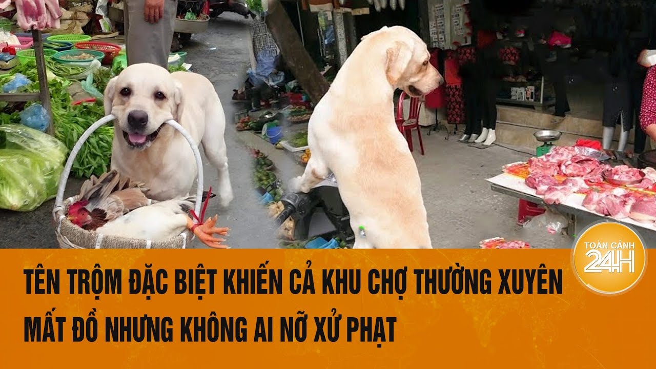 Tên trộm đặc biệt khiến cả khu chợ thường xuyên mất đồ nhưng không ai nỡ xử phạt