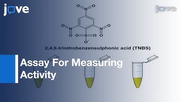 Assay For Measuring Activity Of E.coli Inducible Lysine Decarboxyase l Protocol Preview