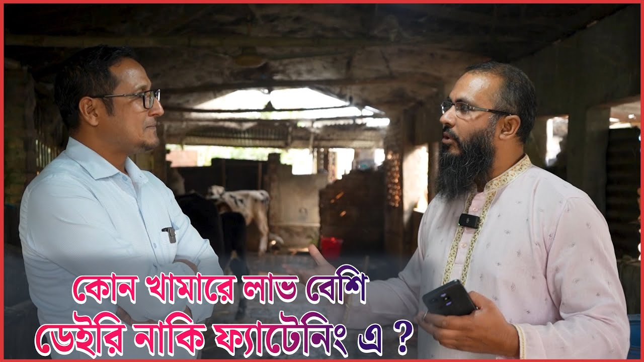 Молочное животноводство выгоднее или способствует откорму? Специальный репортаж о животноводстве....