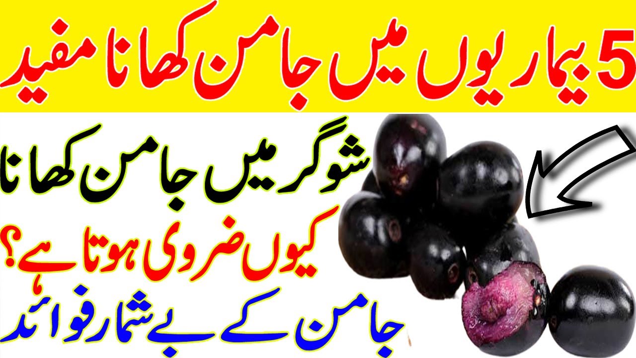 Why Should Diabetics Eat Black Berries? Health Benefits Of Black Plum