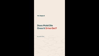 Does mold die once it dries out?