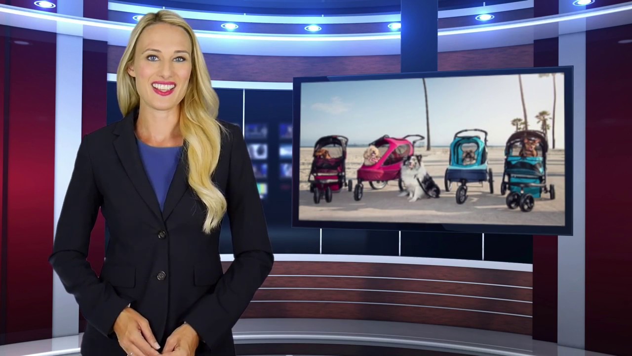 About, the Eco-friendly and Non-toxic Pet Company, Petique, Inc.