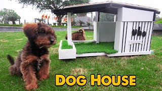 BRICKLAYING Build a mini Dog house with mini bricks, concrete