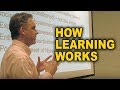 Jordan Peterson: How Learning Works on a Deep Biological Level