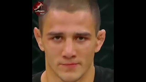 Aaron Pico Knockout in Bellator MMA - Highlights 2019