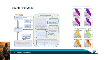 COST-EOS training: Downscaling activities in ocean biogeochemical modelling