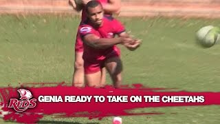 Genia ready to take on the Cheetahs