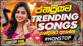 🔥 Shafm සින්දු කාමරේ Hit Songs Collection | Best Sinhala Trending Songs | Nonstop 2026 | Bass Boost
