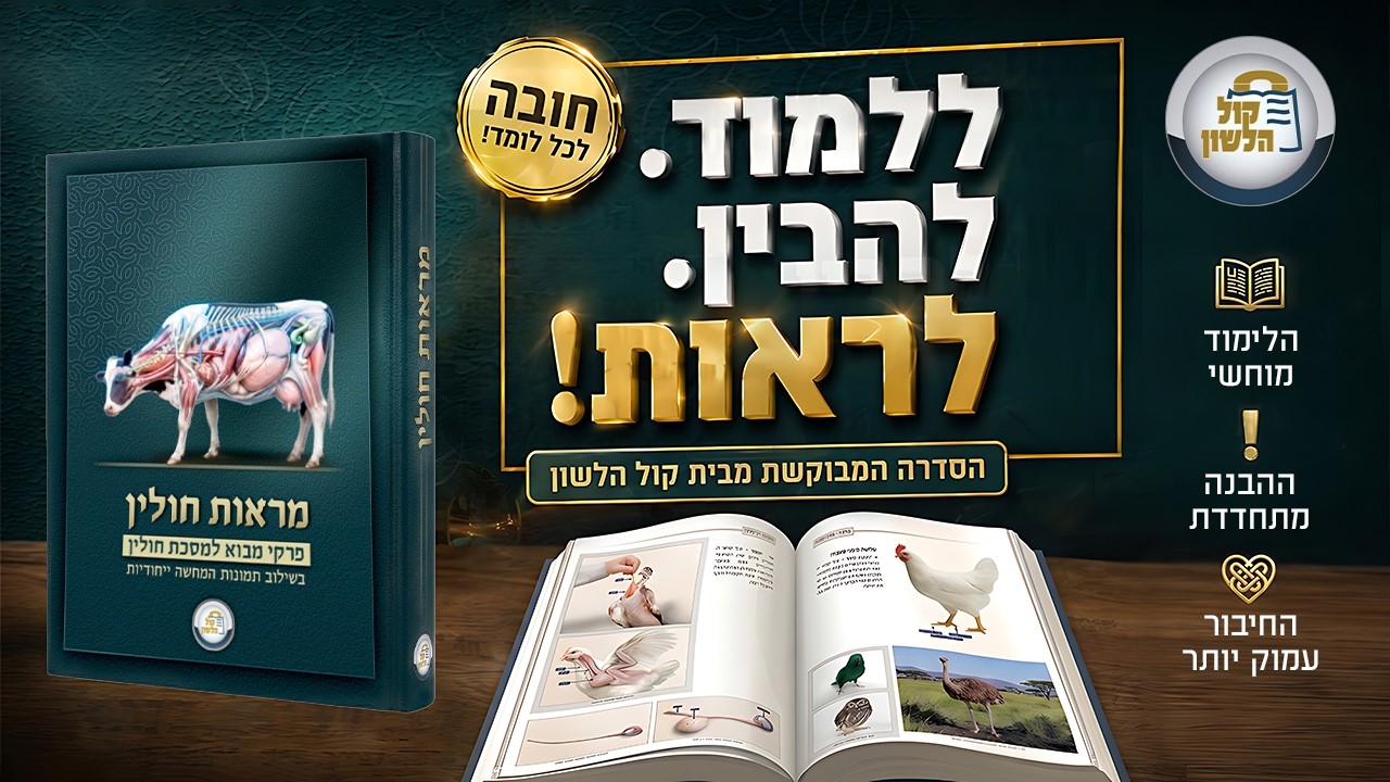 מראות חולין 🐄 | לראות את מסכת חולין בעיניים! לרכישה באתר ◀◀◀ https://bit.ly/Marot_Chulin
