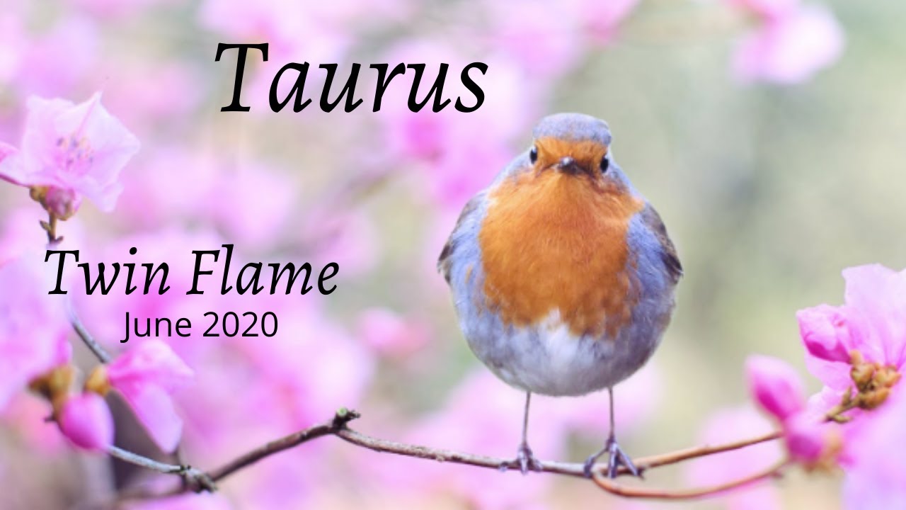 TAURUS TWIN FLAME June 2020 💖put in the work