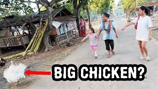 Philippines Lifestyle - We Saw a Pregnant Chicken and a Big Shark On Our Nightly Walk? by Overstay Road 8,980 views 2 days ago 30 minutes