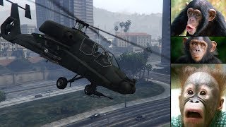 Vollidioten in GTA 25# Ohne Noobbike standen sie ihren Ground nicht