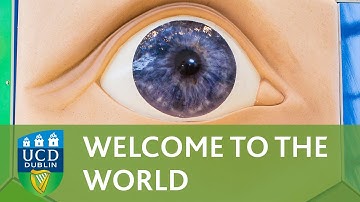 UCD CAO Change of Mind -- Welcome to the World