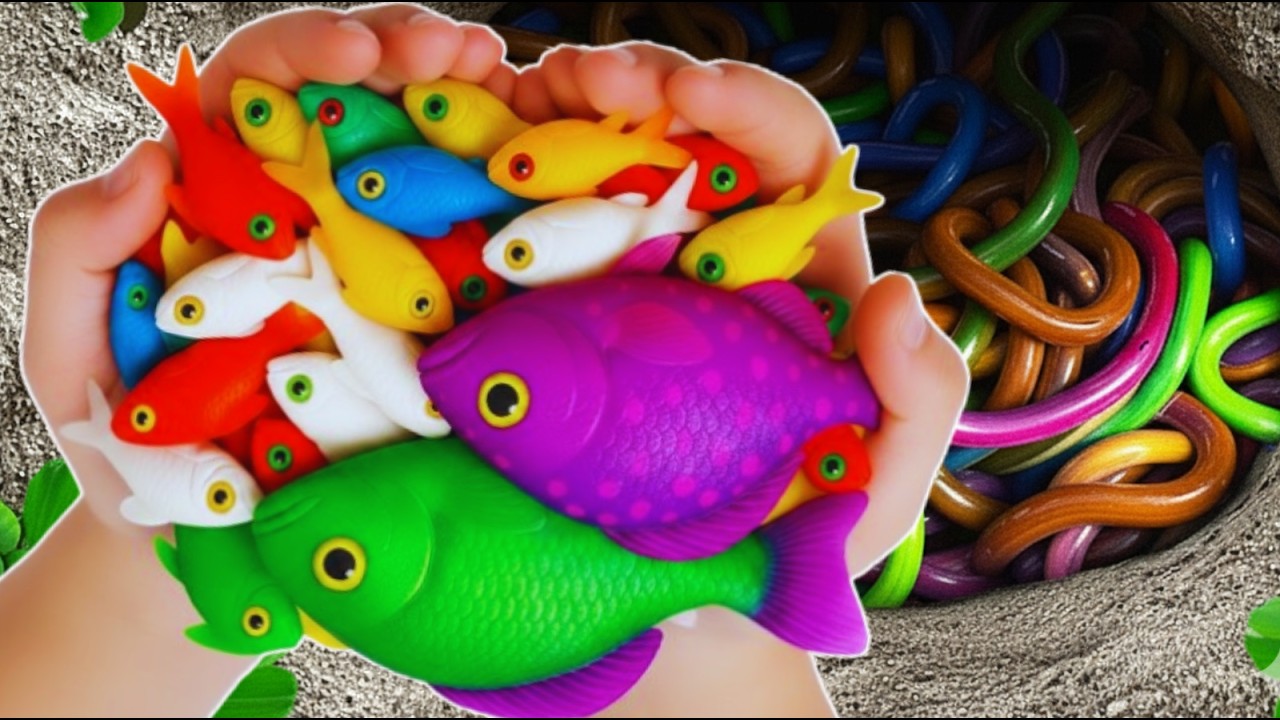 Nice! Tangkap ikan lele besar dalam lubang ada ikan hias, ikan gabus, katak dan banyak hewan seram