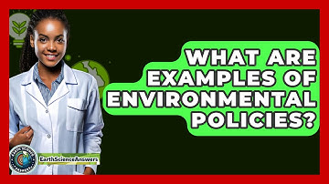 What Are Examples Of Environmental Policies? - Earth Science Answers