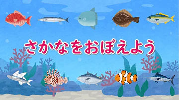 魚クイズ 魚クイズ