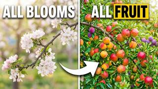 If Your Fruit Trees Aren't Producing, This Is Almost Always The Reason