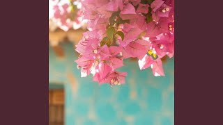 Maju terus pantang mundur