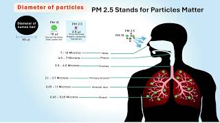 HAZE PM2 5