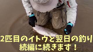 猿払川イトウ釣り2019年 秋冬シーズン(前編1/3)2019年10月25日 北海道 フライフィッシング Hokkaido Fishing Hucho Perryi 中編に続きます 猿払川イトウ釣り2019年 秋冬シーズン(前編1/3)2019年10月25日 北海道 フライフィッシング Hokkaido Fishing Hucho Perryi 中編に続きます