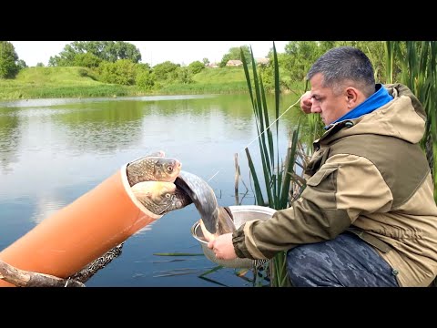 видео: Удочка больше не нужна!  “Сюжет постановочный но прикольный “